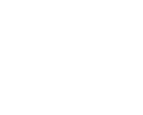 logo-kireinalab-white